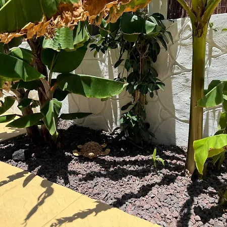 Wonderful With Seaview And Jacuzzi Villa Puerto de Las Nieves